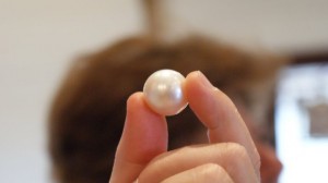 Biggest Pearl in Broome Biggest Pearl in Broome