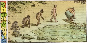 funny-evolution funny-evolution