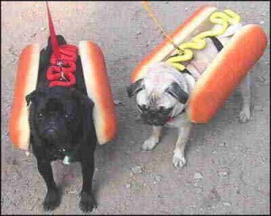 hotdogs hotdogs